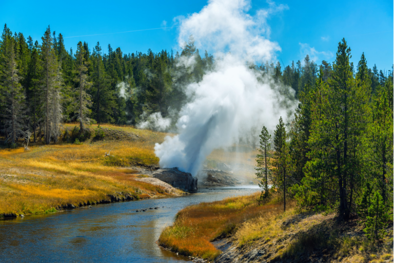 TOP 5 reasons to go on a Yellowstone tour♨️